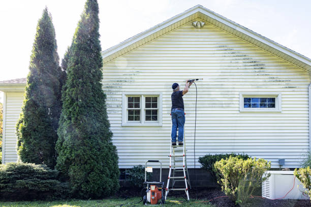 Trusted Snowflake, AZ Pressure Washing Services Experts